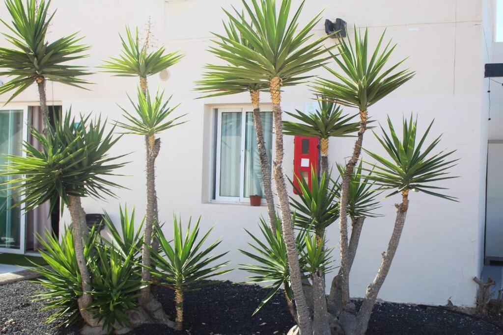 Pachi Beach Alisios Playa Corralejo Exterior foto